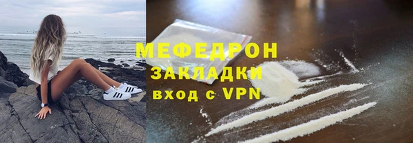 индика Няндома