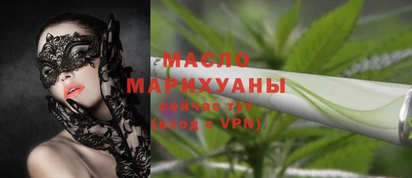 индика Няндома