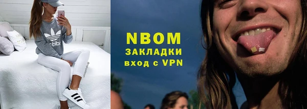 индика Няндома