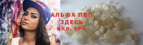 индика Няндома