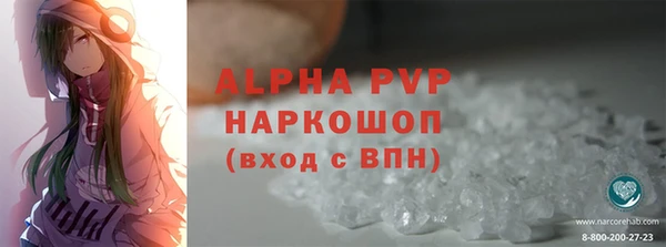 индика Няндома
