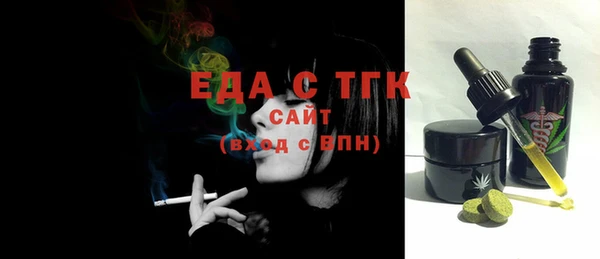 индика Няндома