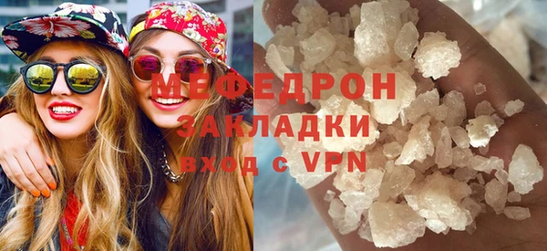 индика Няндома