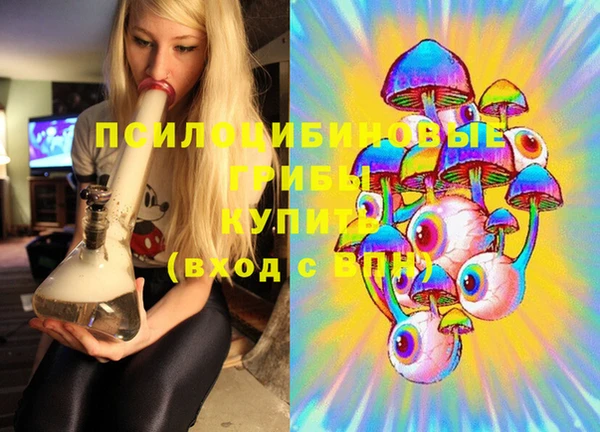 винт Нягань