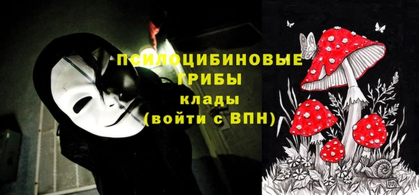 индика Няндома