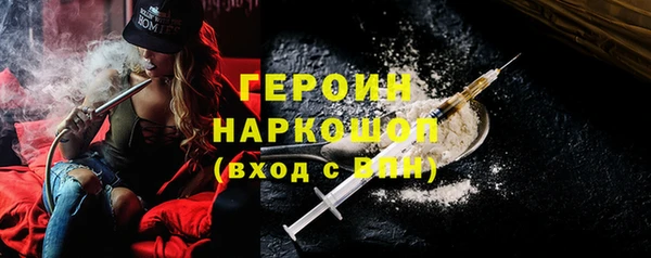 индика Няндома