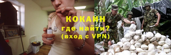 индика Няндома