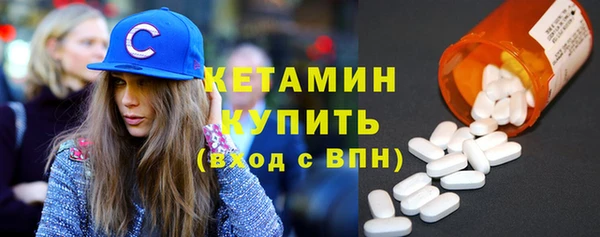 индика Няндома