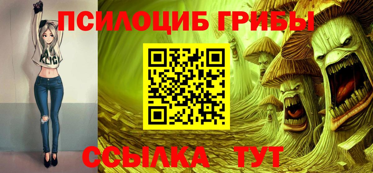 Псилоцибиновые грибы GOLDEN TEACHER  Псилоцибиновые грибы GOLDEN TEACHER  Ижевск 