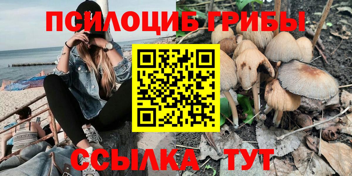 закладка  Вход с VPN  Ижевск  Псилоцибиновые грибы Magic Shrooms 